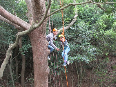 ツリーイング体験【甲山森林公園でロープ木登り！】| 兵庫県