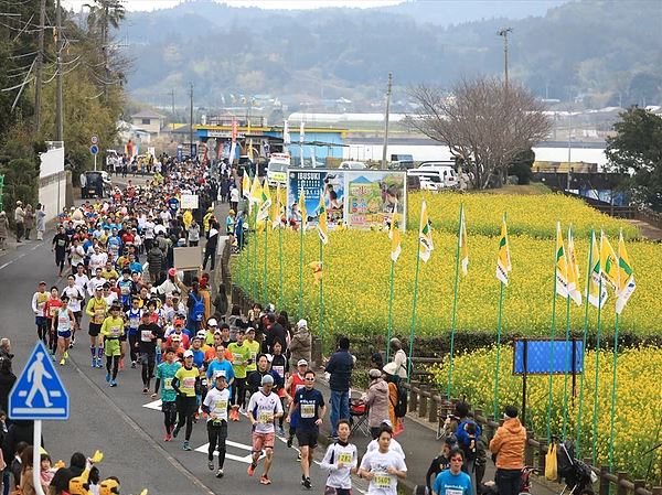 いぶすき菜の花マラソン | 鹿児島県