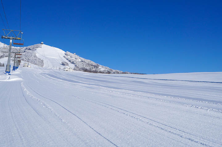 岩原スキー場 雪上運動会 2020 | 新潟県