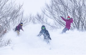 湯沢中里スノーリゾート スキーの日 | 新潟県