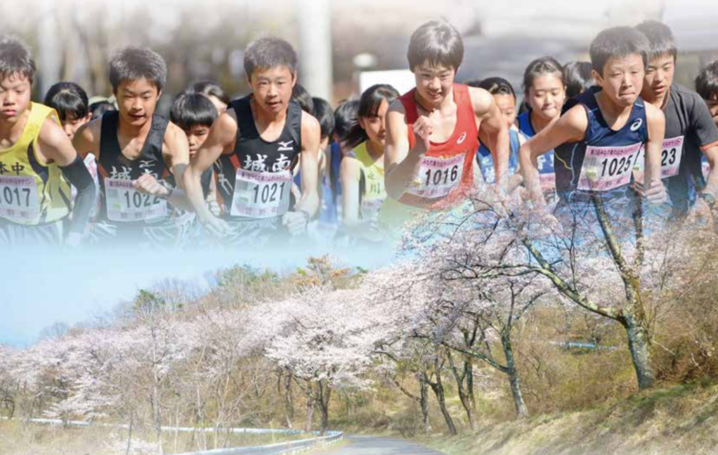 みなの美の山さくらマラソン | 埼玉県