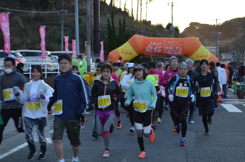 みちくさ夜桜マラソン in 南伊豆町 | 静岡県