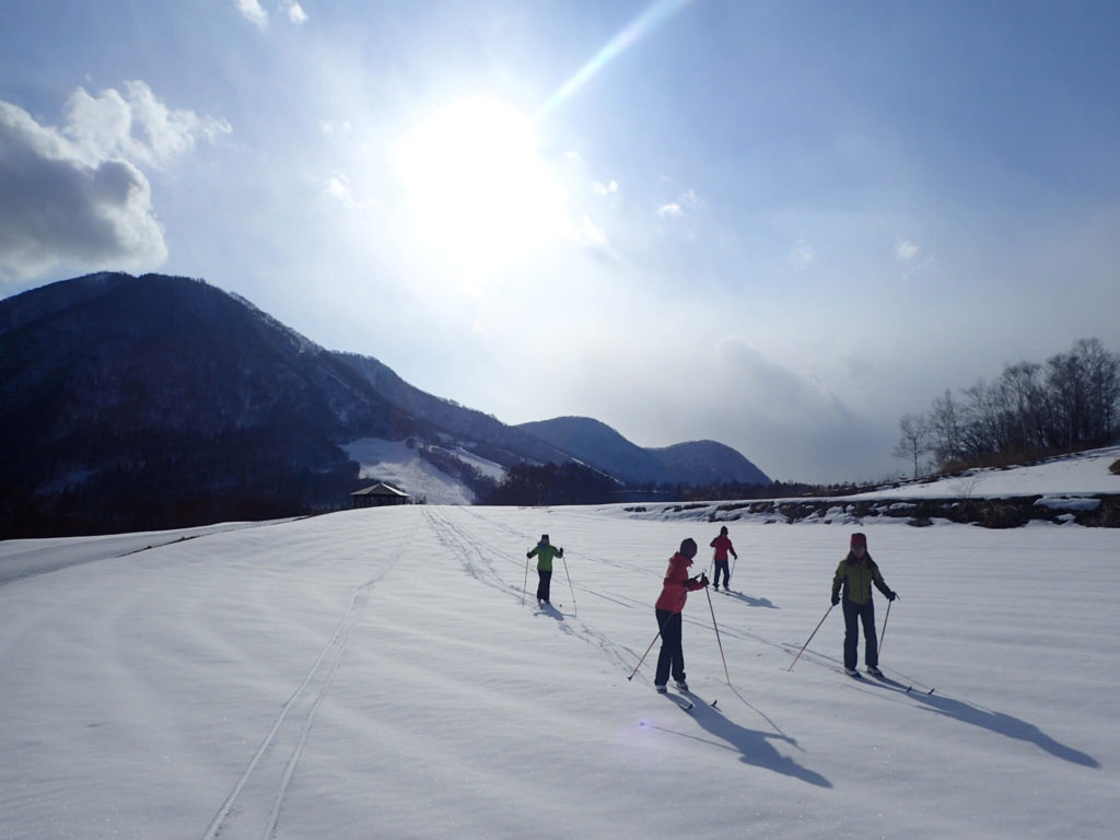 Forest Ski Trail for Runner | 長野県（スポーハイムアルプ）