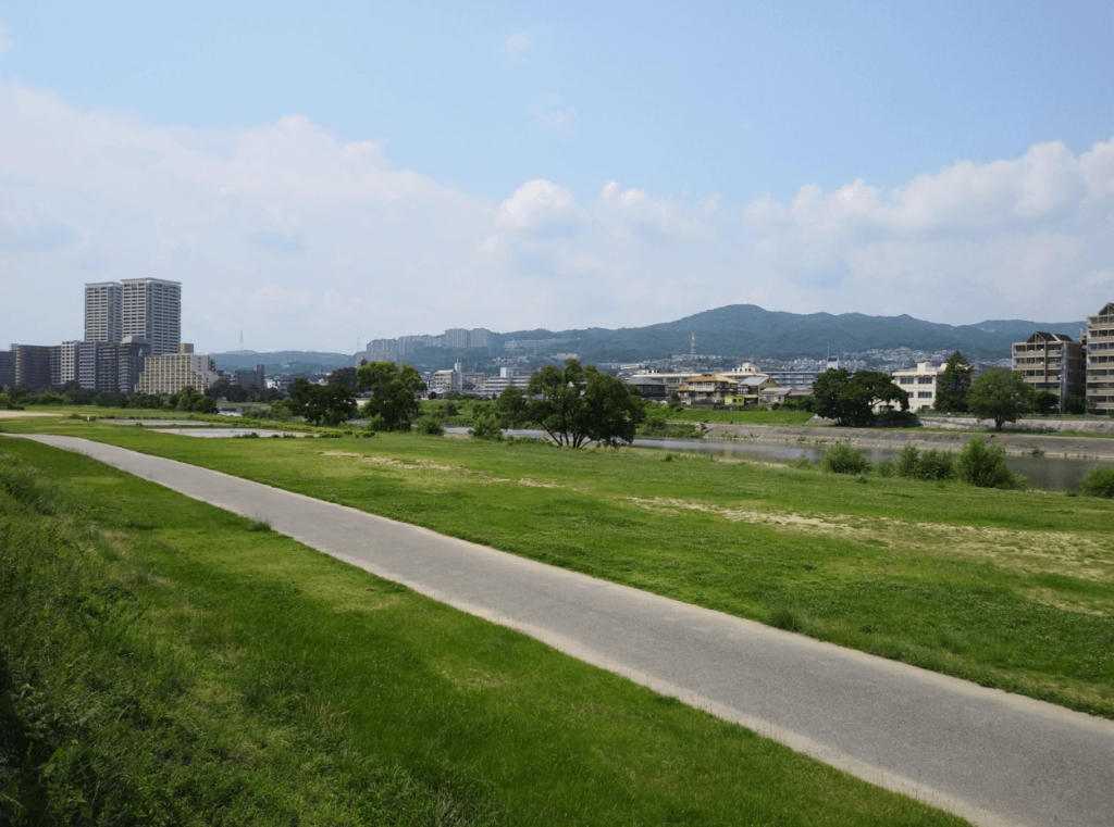 リバーサイドマラソン兵庫大会 | 兵庫県（武庫川）
