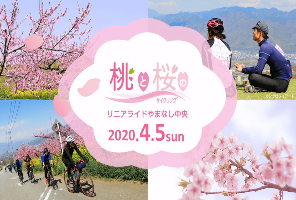 桃と桜のサイクリング | 山梨(中央市農村公園）