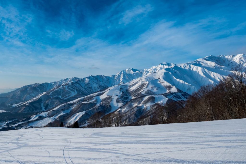 全日本チェアスキーチャンピオンシップ | 長野(よませ)