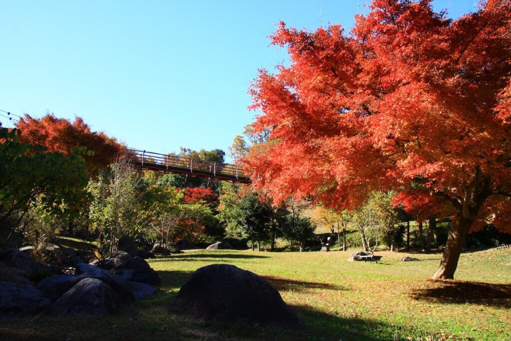 キャンプで日帰りで　秋のいばらきをまるごと楽しむキャンプイベント「IBARAKI CAMP AUTUMN FESTA 2021」／茨城