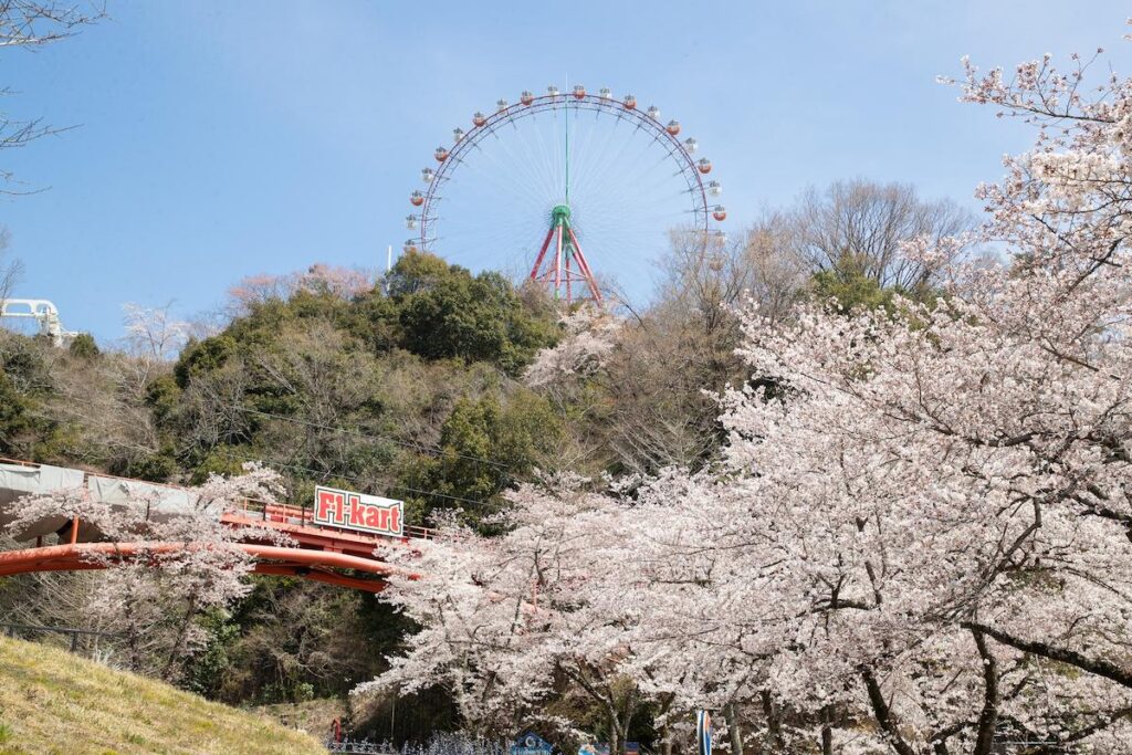 関東最大級2,500本の桜並木を楽しく走って健康増進！「第2回さがみ湖さくらランin プレジャーフォレスト」／神奈川