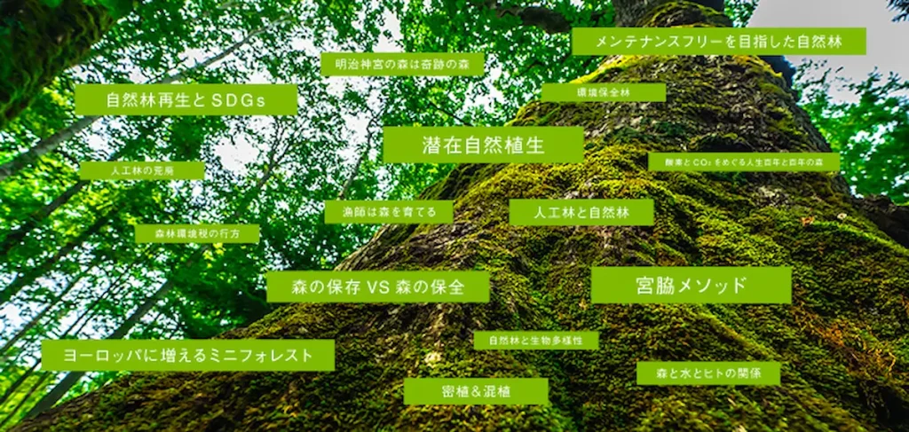 気候変動危機・森の荒廃に、私たちが出来ることを学び・実践する『自然林再生専門家研修2022』／神奈川