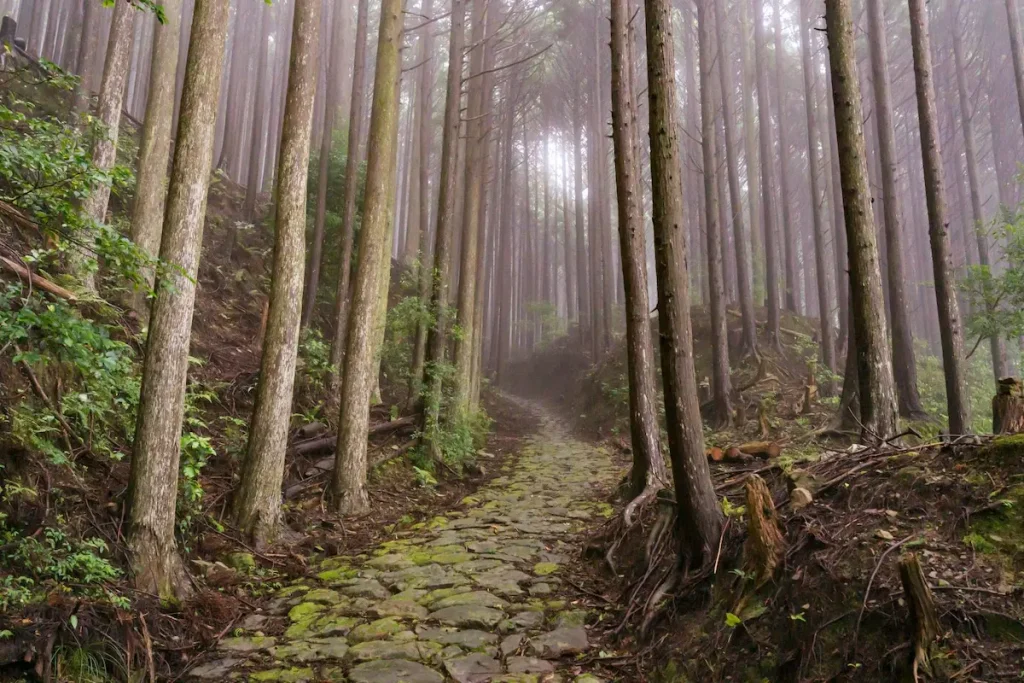 自分だけのアロマに包まれ薪サウナでリトリート　蘇りの地・熊野古道で内側から美しくなる1泊2日／和歌山