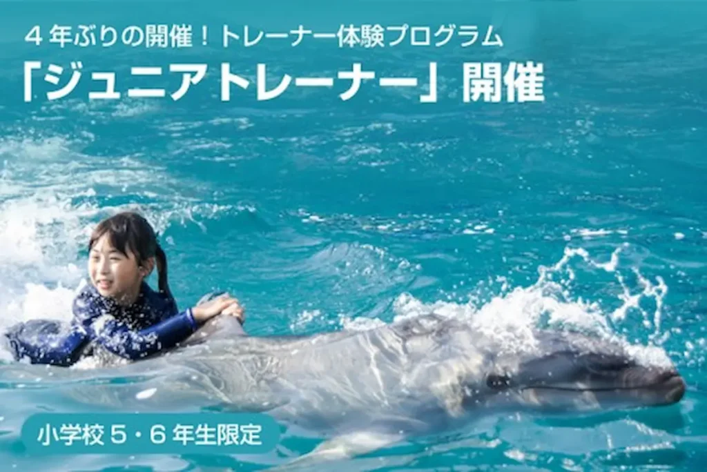 イルカと泳ぐトレーナー体験プログラム 小学校5・6年生限定『ジュニアトレーナー』／千葉