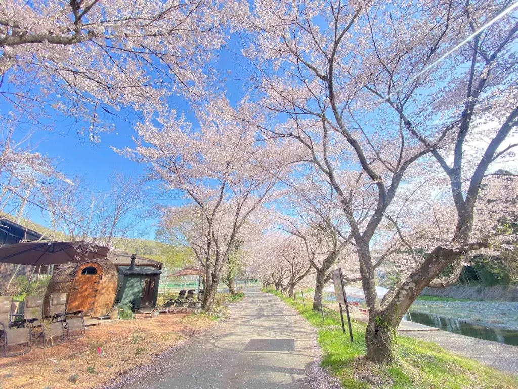 桜の木の下で3種のアウトドアサウナが楽しめるサウナイベント「お花見サウナフェス」／埼玉