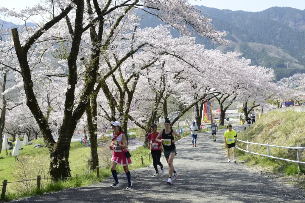 関東屈指の2,500本の桜並木の中を走って健康増進！「第4回さがみ湖さくらラン＆ウォークinプレジャーフォレスト」／神奈川