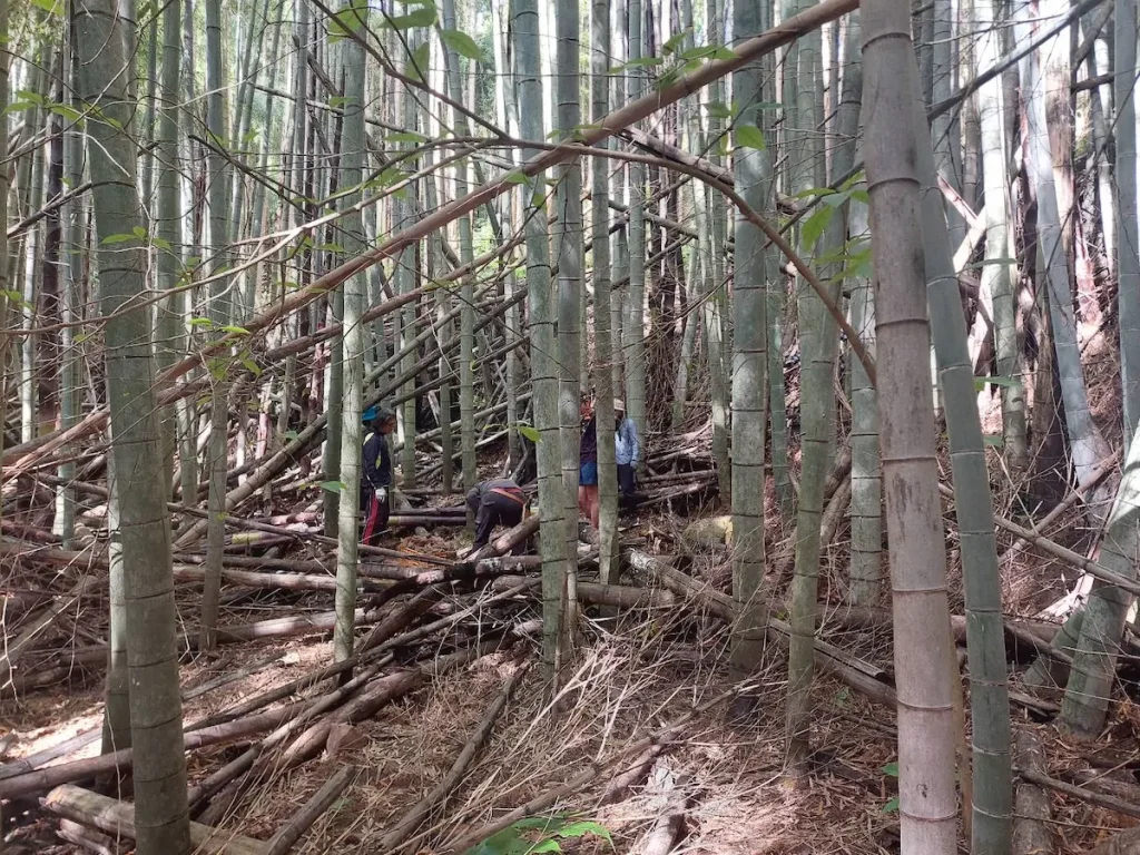 福岡県糸島市を舞台とするトレイルランニング大会『伊都国 TRAIL RUN in 火山』／福岡