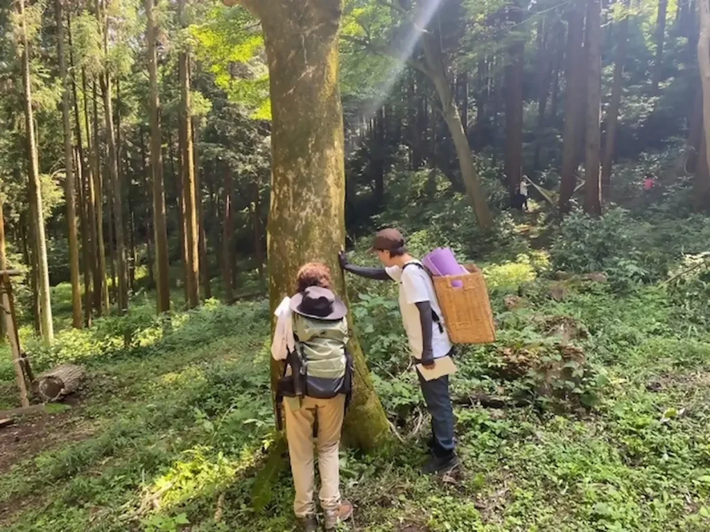 森でゆっくり、じぶん時間「森林浴と里山リトリート」／神奈川