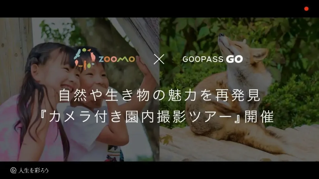 「見る・触る・体験する」を楽しめるアウトドアイベントIWAYAMA HELLO FESTIVAL 2024×GOOPASS GO／岩手