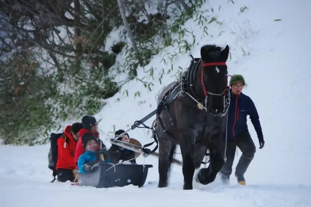 スノーサーフィンの町（厚真町）で北海道の雪山を満喫！林業を学び、世界に一つだけのマイ雪板をつくって遊ぶアドベンチャートラベルモニターツアー／北海道